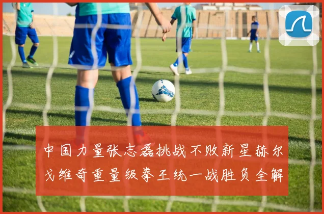 中国力量张志磊挑战不败新星赫尔戈维奇重量级拳王统一战胜负全解析