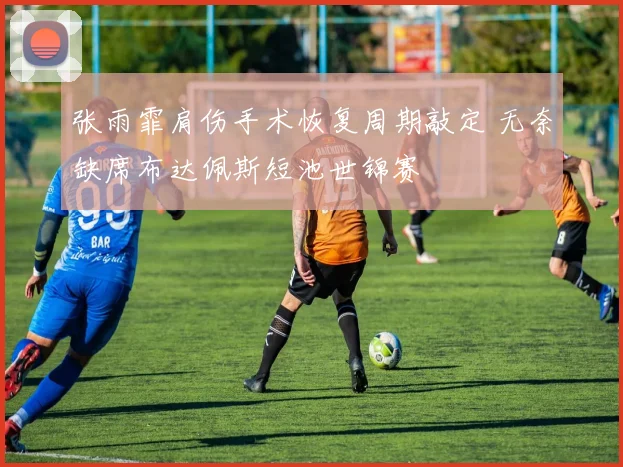 张雨霏肩伤手术恢复周期敲定 无奈缺席布达佩斯短池世锦赛