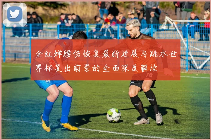 全红婵腰伤恢复最新进展与跳水世界杯复出前景的全面深度解读