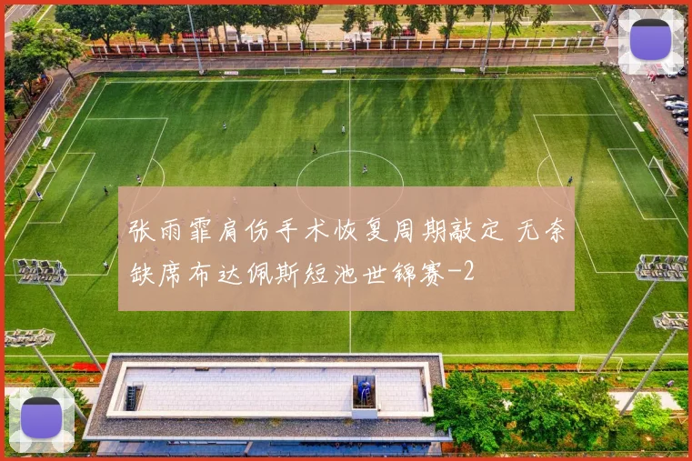 张雨霏肩伤手术恢复周期敲定 无奈缺席布达佩斯短池世锦赛