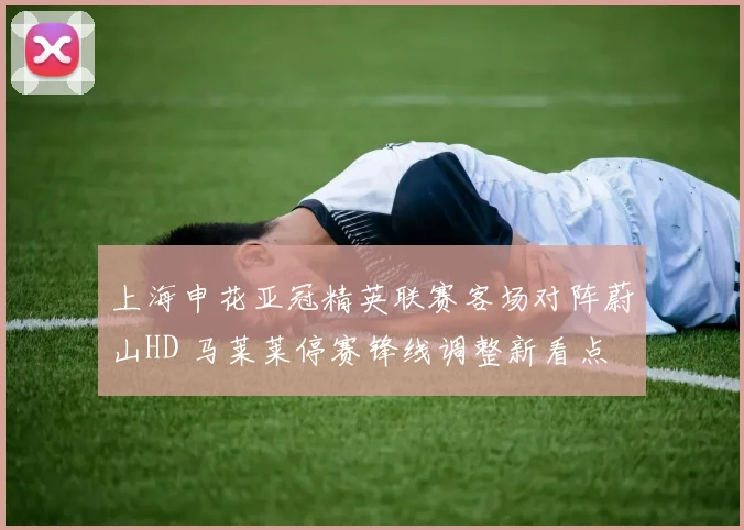 上海申花亚冠精英联赛客场对阵蔚山HD 马莱莱停赛锋线调整新看点