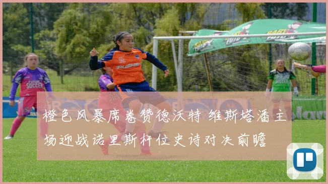 橙色风暴席卷赞德沃特 维斯塔潘主场迎战诺里斯杆位史诗对决前瞻