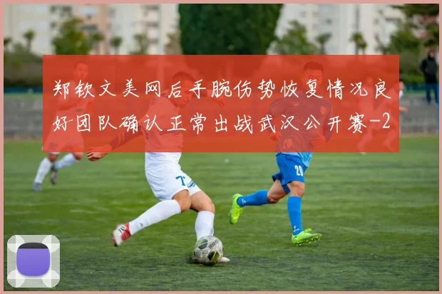 郑钦文美网后手腕伤势恢复情况良好团队确认正常出战武汉公开赛