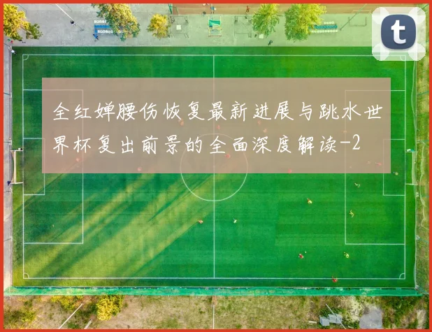 全红婵腰伤恢复最新进展与跳水世界杯复出前景的全面深度解读