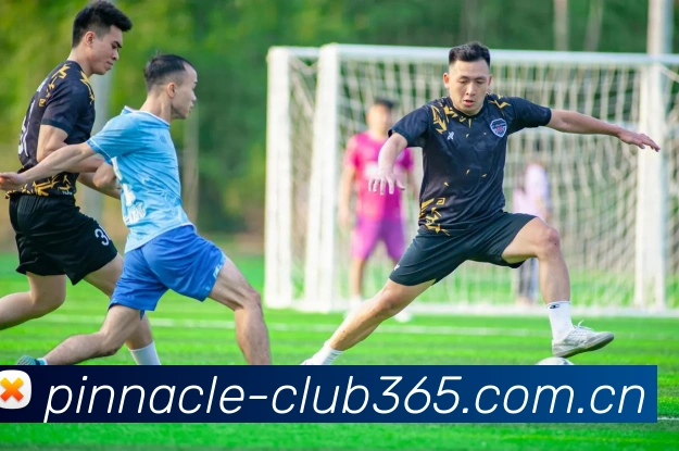 App界面